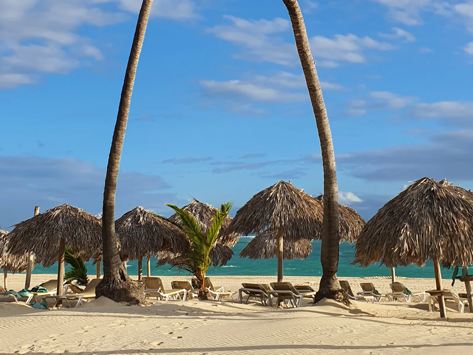 Playa con palmeras y sombrillas de paja en Punta Cana